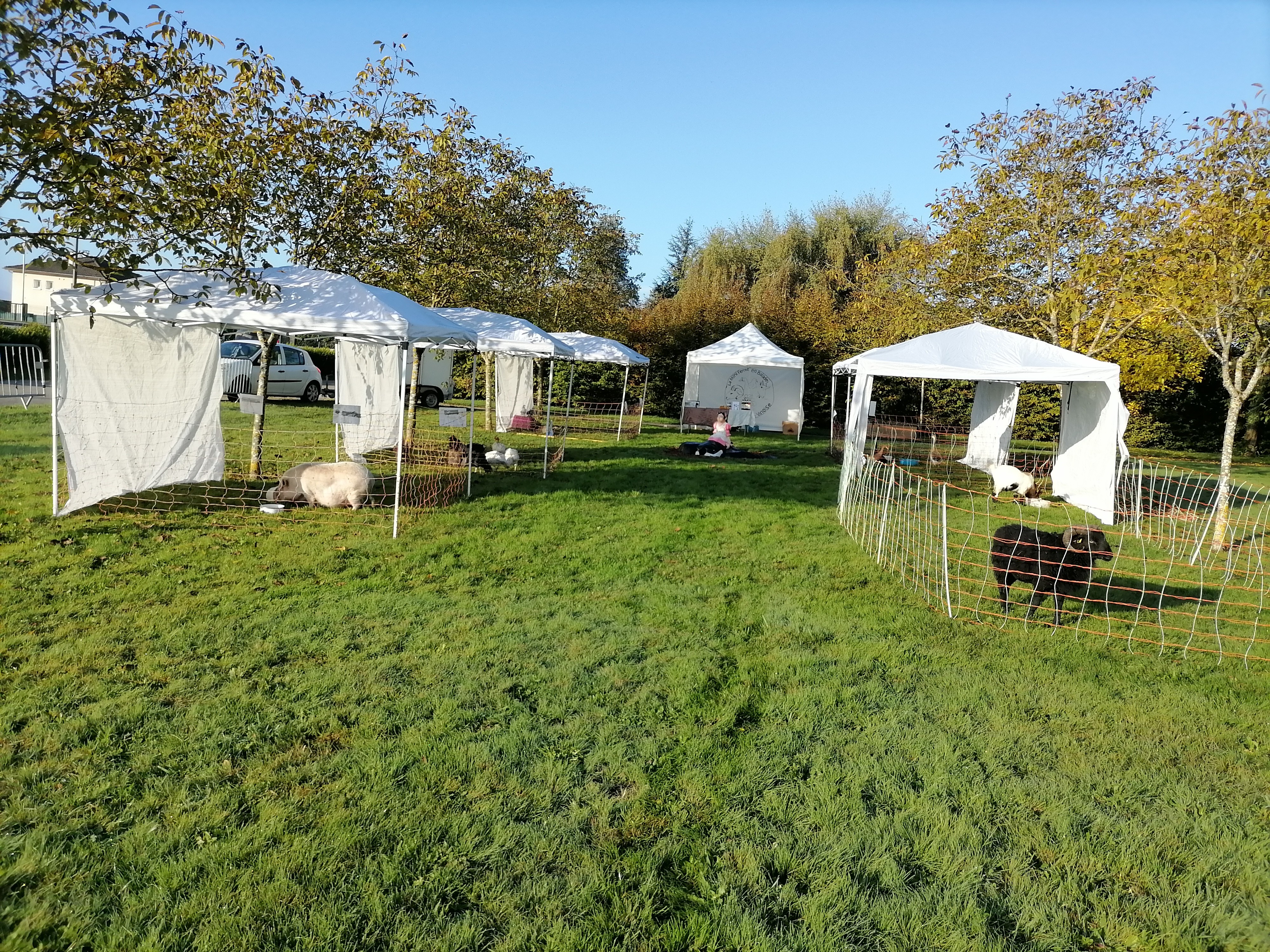 Marché du Terroir Vinay